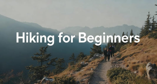 A scenic hiking trail with beginners walking, offering tips on gear, safety, and style for outdoor adventures.