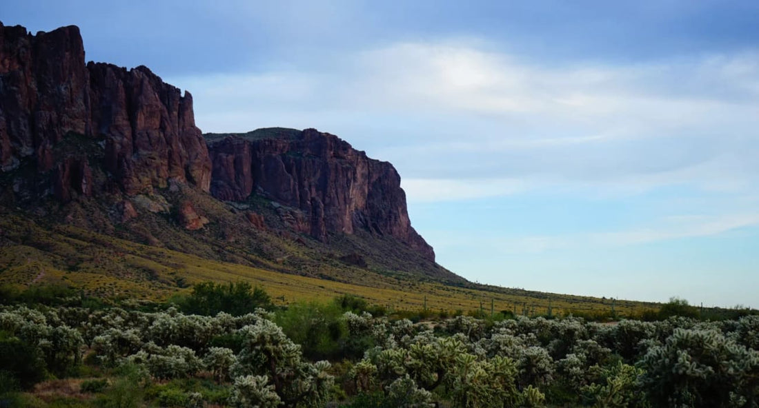Stunning Arizona landscape featuring rugged cliffs and lush greenery, ideal for exploring the best hiking routes.