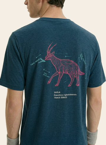 Deep Teal|03